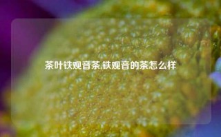 茶叶铁观音茶,铁观音的茶怎么样