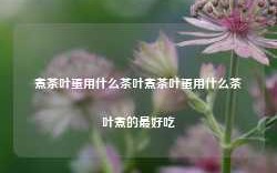 煮茶叶蛋用什么茶叶煮茶叶蛋用什么茶叶煮的最好吃