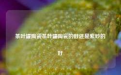 茶叶罐陶瓷茶叶罐陶瓷的好还是紫砂的好