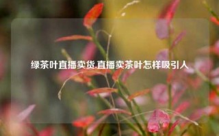 绿茶叶直播卖货,直播卖茶叶怎样吸引人