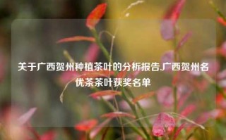 关于广西贺州种植茶叶的分析报告,广西贺州名优茶茶叶获奖名单