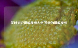 茶叶知识讲解视频大全,茶叶的讲解视频