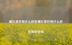 喝红茶叶有什么好处喝红茶叶有什么好处和坏处吗