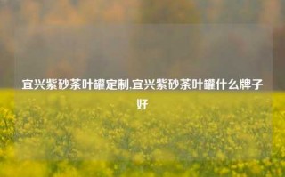 宜兴紫砂茶叶罐定制,宜兴紫砂茶叶罐什么牌子好