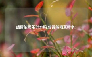 感冒能喝茶叶水吗,感冒能喝茶叶水?