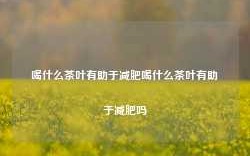 喝什么茶叶有助于减肥喝什么茶叶有助于减肥吗