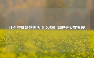 什么茶叶减肥去火,什么茶叶减肥去火效果好