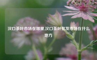 汉口茶叶市场在哪里,汉口茶叶批发市场在什么地方