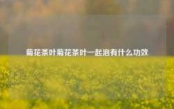 菊花茶叶菊花茶叶一起泡有什么功效