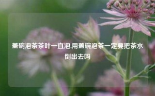 盖碗泡茶茶叶一直泡,用盖碗泡茶一定要把茶水倒出去吗