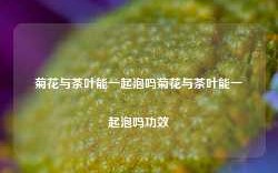 菊花与茶叶能一起泡吗菊花与茶叶能一起泡吗功效