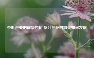 茶叶产业的前景如何,茶叶产业的前景如何发展