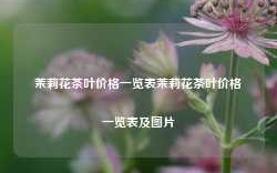 茉莉花茶叶价格一览表茉莉花茶叶价格一览表及图片