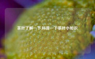 茶叶了解一下,科普一下茶叶小知识