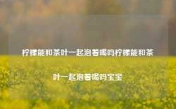 柠檬能和茶叶一起泡着喝吗柠檬能和茶叶一起泡着喝吗宝宝