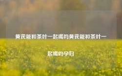 黄芪能和茶叶一起喝吗黄芪能和茶叶一起喝吗孕妇