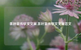 茶叶宣传软文文案,茶叶宣传软文文案范文