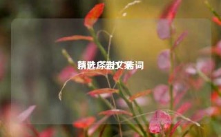 茶叶广告文案
精选,茶叶广告词