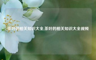 茶叶的相关知识大全,茶叶的相关知识大全视频