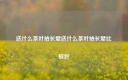 送什么茶叶给长辈送什么茶叶给长辈比较好