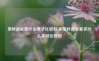 茶叶送长辈什么牌子比较好,买茶叶送长辈买什么茶叶比较好