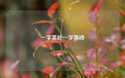 一字茶叶一字茶诗