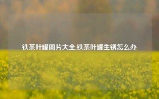 铁茶叶罐图片大全,铁茶叶罐生锈怎么办