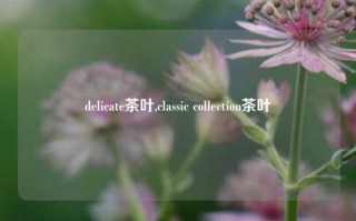 delicate茶叶,classic collection茶叶