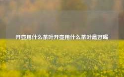 开壶用什么茶叶开壶用什么茶叶最好喝