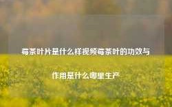 莓茶叶片是什么样视频莓茶叶的功效与作用是什么哪里生产