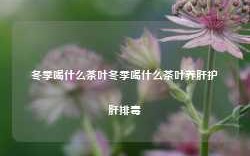 冬季喝什么茶叶冬季喝什么茶叶养肝护肝排毒