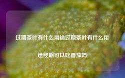 过期茶叶有什么用途过期茶叶有什么用途经期可以吃番茄吗