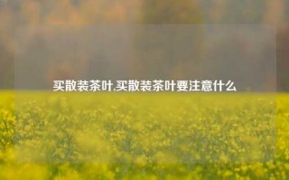 买散装茶叶,买散装茶叶要注意什么