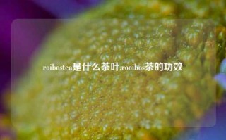 roibostea是什么茶叶,rooibos茶的功效