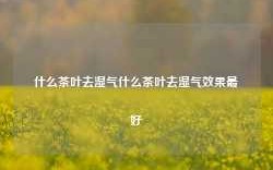 什么茶叶去湿气什么茶叶去湿气效果最好