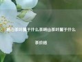 崂山茶叶属于什么茶崂山茶叶属于什么茶价格