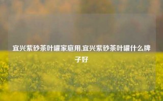 宜兴紫砂茶叶罐家庭用,宜兴紫砂茶叶罐什么牌子好