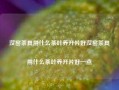 汝窑茶具用什么茶叶养开片好汝窑茶具用什么茶叶养开片好一点