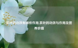 茶叶的功效有哪些作用,茶叶的功效与作用及营养价值