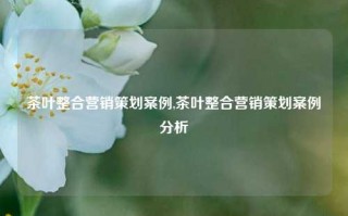 茶叶整合营销策划案例,茶叶整合营销策划案例分析