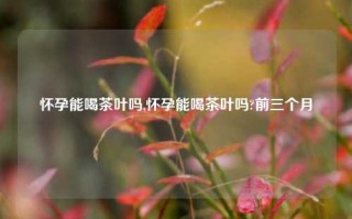 怀孕能喝茶叶吗,怀孕能喝茶叶吗?前三个月