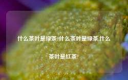 什么茶叶是绿茶?什么茶叶是绿茶,什么茶叶是红茶?