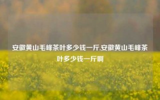 安徽黄山毛峰茶叶多少钱一斤,安徽黄山毛峰茶叶多少钱一斤啊