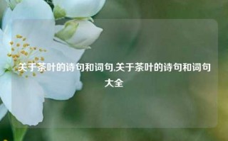 关于茶叶的诗句和词句,关于茶叶的诗句和词句大全