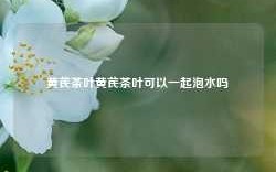 黄芪茶叶黄芪茶叶可以一起泡水吗