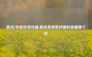 普洱7饼紫砂茶叶罐,普洱茶用紫砂罐和瓷罐哪个好