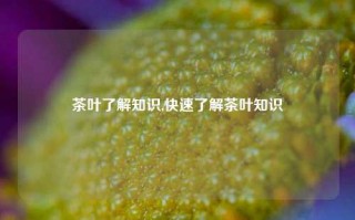 茶叶了解知识,快速了解茶叶知识