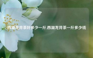 西湖龙井茶叶多少一斤,西湖龙井茶一斤多少钱