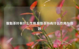 猴魁茶叶有什么作用,猴魁茶叶有什么作用与功效