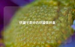 铁罐子茶叶合铁罐茶叶盒